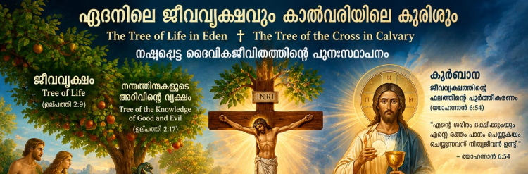 The Tree of Life in Eden – The Tree of Cross in Calvery